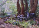 Oil on Canvas, 14"x18" unframed, 21"x25" framed   480